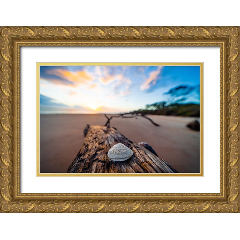 She Sells Seashells Gold Ornate Wood Framed Art Print with Double Matting by Malone, Will