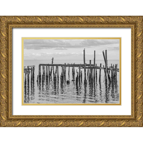 Jungle Gym Gold Ornate Wood Framed Art Print with Double Matting by Malone, Will