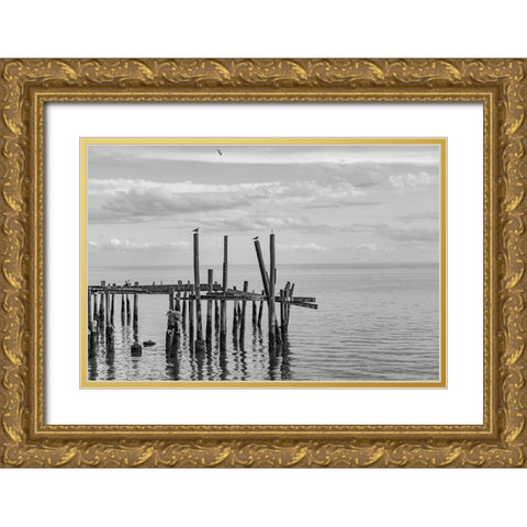 Jungle Gym 2 Gold Ornate Wood Framed Art Print with Double Matting by Malone, Will