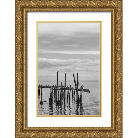 Jungle Gym Vertical Gold Ornate Wood Framed Art Print with Double Matting by Malone, Will