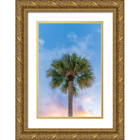DeLand Sunset Gold Ornate Wood Framed Art Print with Double Matting by Malone, Will