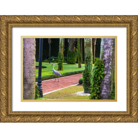 Bird About Town Gold Ornate Wood Framed Art Print with Double Matting by Malone, Will