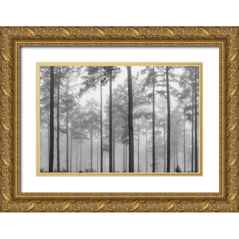 Fog Gold Ornate Wood Framed Art Print with Double Matting by Malone, Will