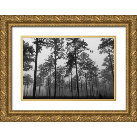 Fog 2 Gold Ornate Wood Framed Art Print with Double Matting by Malone, Will