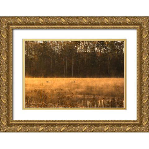 Tired Creek Golden Mist Gold Ornate Wood Framed Art Print with Double Matting by Malone, Will