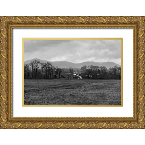 Airfield Gold Ornate Wood Framed Art Print with Double Matting by Malone, Will