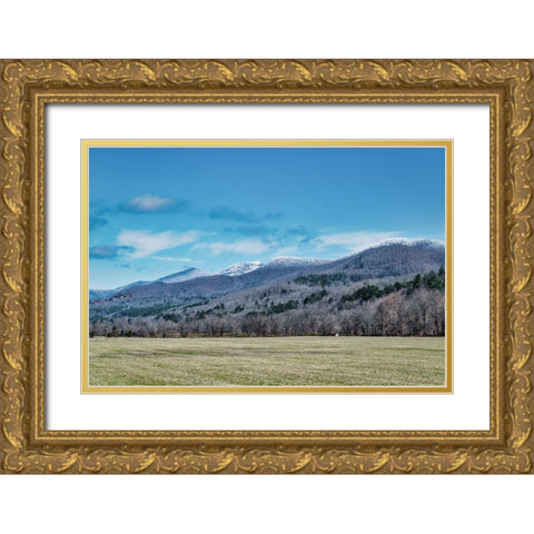 Snow Capped Hiawassee Gold Ornate Wood Framed Art Print with Double Matting by Malone, Will