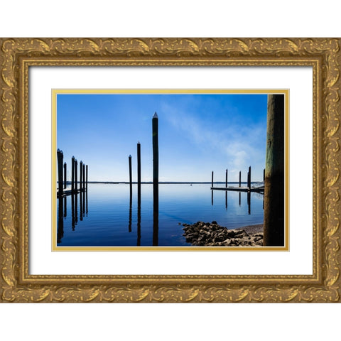 Ripples 2 Gold Ornate Wood Framed Art Print with Double Matting by Malone, Will