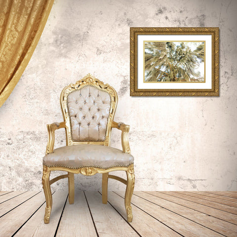 Spanish Moss 3 Gold Ornate Wood Framed Art Print with Double Matting by Malone, Will