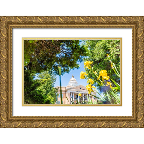 Henderson County Courthouse Gold Ornate Wood Framed Art Print with Double Matting by Malone, Will