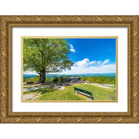 Laurel Park Gold Ornate Wood Framed Art Print with Double Matting by Malone, Will
