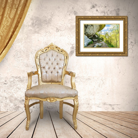 Under the Rock Gold Ornate Wood Framed Art Print with Double Matting by Malone, Will
