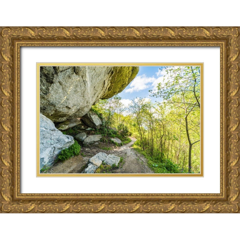 Under the Rock Gold Ornate Wood Framed Art Print with Double Matting by Malone, Will