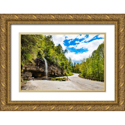 Bridal Veil Falls Gold Ornate Wood Framed Art Print with Double Matting by Malone, Will