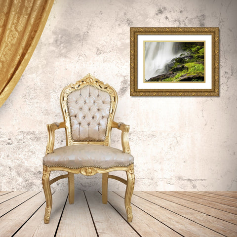 Dry Falls  Gold Ornate Wood Framed Art Print with Double Matting by Malone, Will