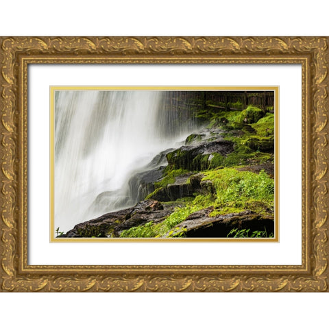 Dry Falls  Gold Ornate Wood Framed Art Print with Double Matting by Malone, Will