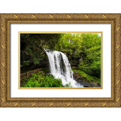 Dry Falls 2 Gold Ornate Wood Framed Art Print with Double Matting by Malone, Will