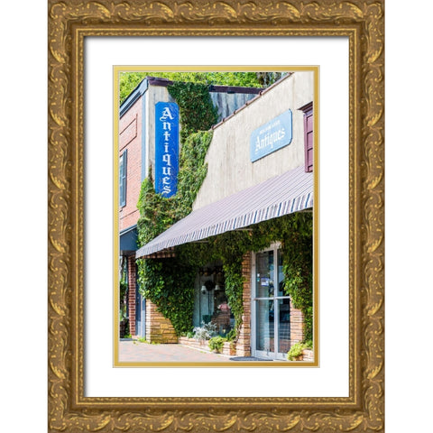 Mirror Lake Antiques Gold Ornate Wood Framed Art Print with Double Matting by Malone, Will