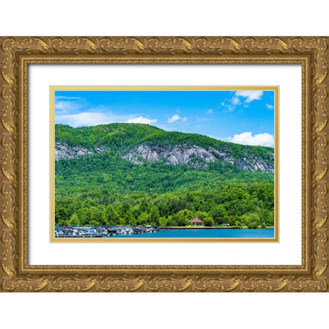 Backdrop Gold Ornate Wood Framed Art Print with Double Matting by Malone, Will