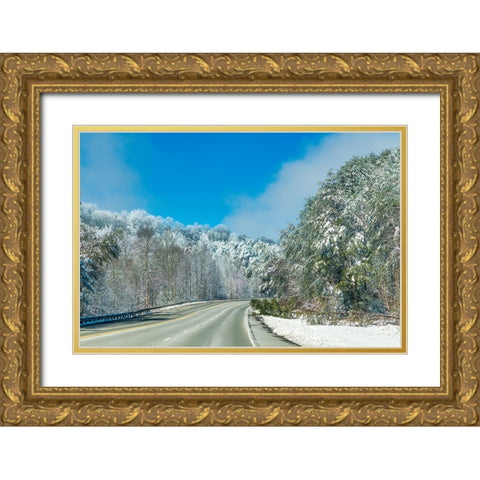 Snow Road Gold Ornate Wood Framed Art Print with Double Matting by Malone, Will