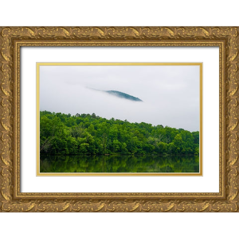 Hidden Gold Ornate Wood Framed Art Print with Double Matting by Malone, Will