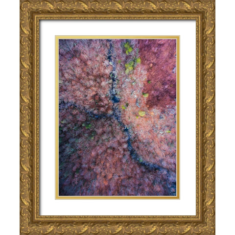 Signal Mountain Aerial  Gold Ornate Wood Framed Art Print with Double Matting by Malone, Will