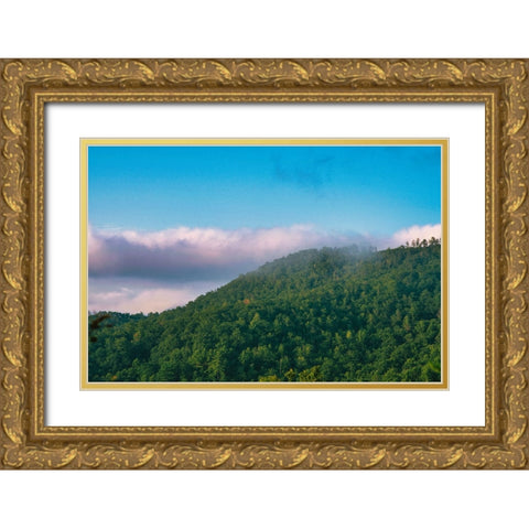 Smokey Morning 2 Gold Ornate Wood Framed Art Print with Double Matting by Malone, Will