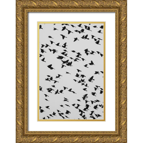 The Birds Gold Ornate Wood Framed Art Print with Double Matting by Malone, Will