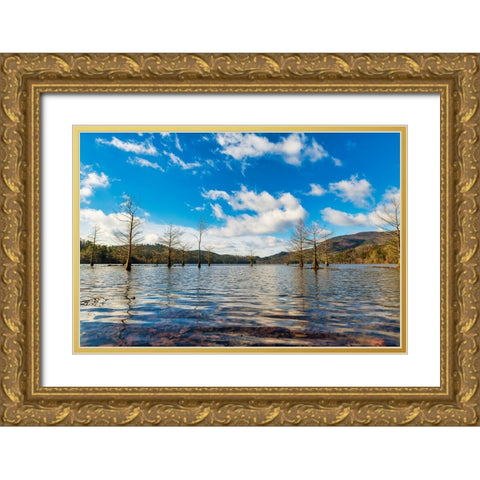 Midday Ocoee Gold Ornate Wood Framed Art Print with Double Matting by Malone, Will