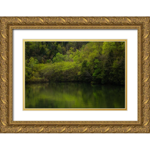 Ocoee Calm 2 Gold Ornate Wood Framed Art Print with Double Matting by Malone, Will