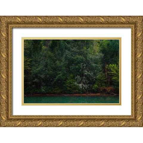 Ocoee Calm 3 Gold Ornate Wood Framed Art Print with Double Matting by Malone, Will