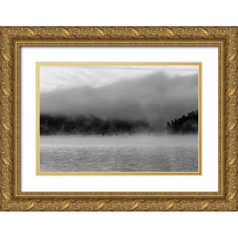 Ocoee Fog 3 Gold Ornate Wood Framed Art Print with Double Matting by Malone, Will