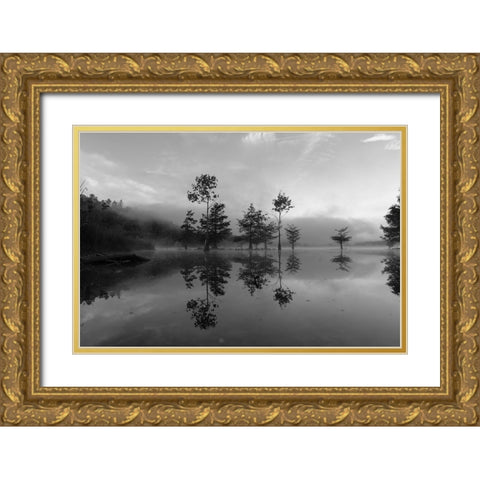 Ocoee Fog 4 Gold Ornate Wood Framed Art Print with Double Matting by Malone, Will