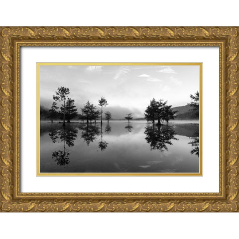 Ocoee Fog 5 Gold Ornate Wood Framed Art Print with Double Matting by Malone, Will