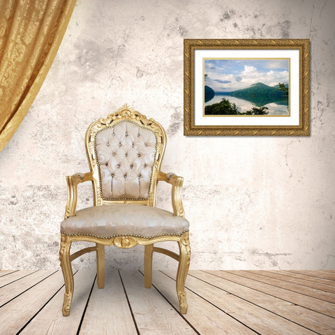 Ocoee Mist Gold Ornate Wood Framed Art Print with Double Matting by Malone, Will