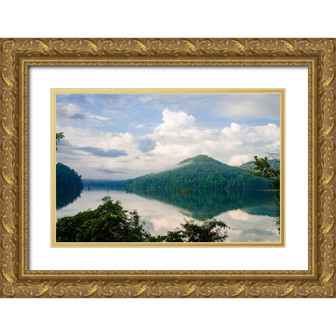Ocoee Mist Gold Ornate Wood Framed Art Print with Double Matting by Malone, Will