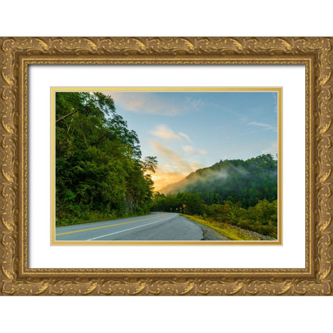 Ocoee Road 2 Gold Ornate Wood Framed Art Print with Double Matting by Malone, Will