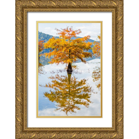 Orange Blast Gold Ornate Wood Framed Art Print with Double Matting by Malone, Will