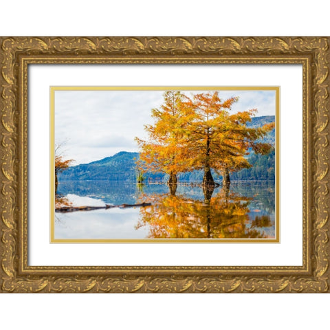 Orange Blast 2 Gold Ornate Wood Framed Art Print with Double Matting by Malone, Will