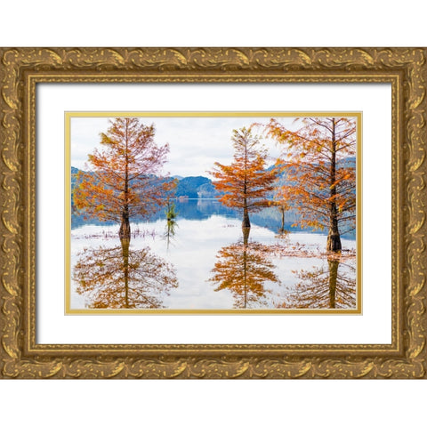 Orange Float 2 Gold Ornate Wood Framed Art Print with Double Matting by Malone, Will