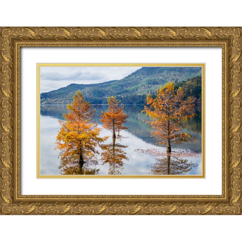 Orange Mountains Gold Ornate Wood Framed Art Print with Double Matting by Malone, Will