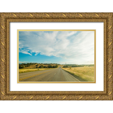 Hill Country  Gold Ornate Wood Framed Art Print with Double Matting by Malone, Will