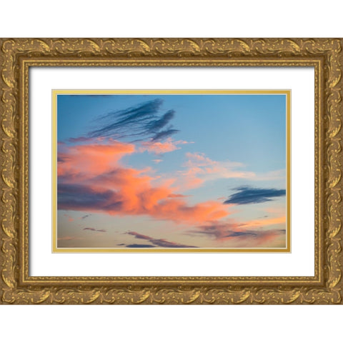Texas Sunset  Gold Ornate Wood Framed Art Print with Double Matting by Malone, Will