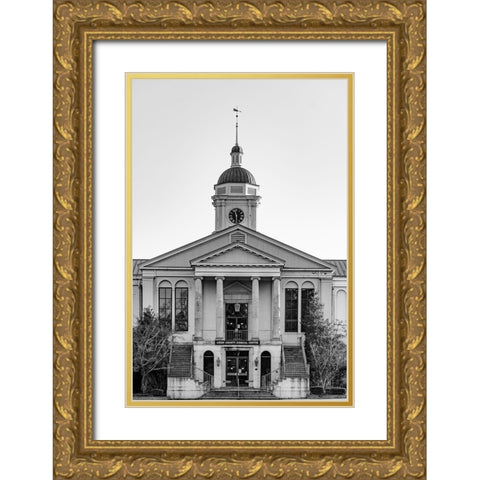 Aiken Courthouse Monochrome Gold Ornate Wood Framed Art Print with Double Matting by Malone, Will