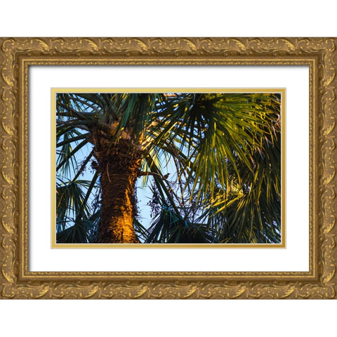 Bird of Paradise Gold Ornate Wood Framed Art Print with Double Matting by Malone, Will