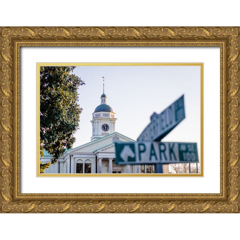 Park Street Gold Ornate Wood Framed Art Print with Double Matting by Malone, Will