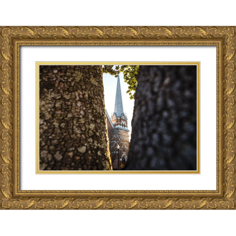 Through the Trees Gold Ornate Wood Framed Art Print with Double Matting by Malone, Will