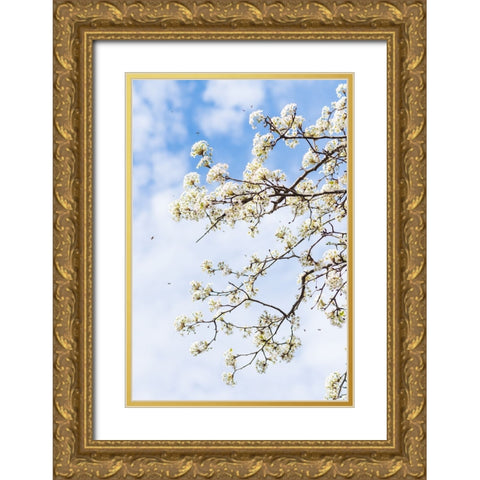 Welcome to Spring Gold Ornate Wood Framed Art Print with Double Matting by Malone, Will