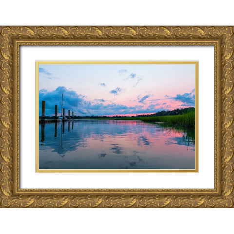 Cotton Candy  Gold Ornate Wood Framed Art Print with Double Matting by Malone, Will