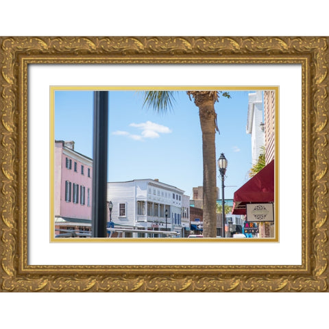 Downtown Beaufort 7 Gold Ornate Wood Framed Art Print with Double Matting by Malone, Will